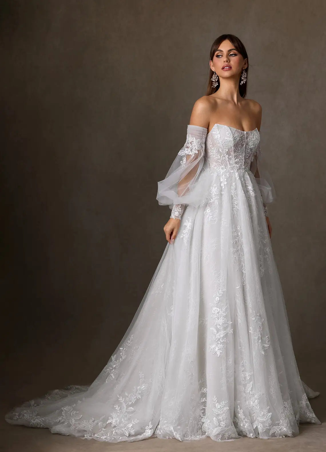 Intricate Floral Lace Appliques Off-the-Shoulder Puff Sleeve Lace Tulle Ball Gown Wedding Dress