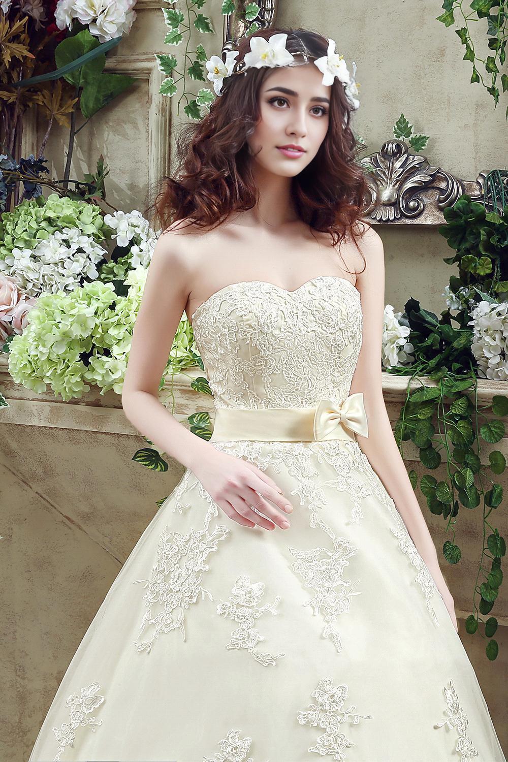 Lace Ball Gown Wedding Dress Tulle Lace-Up Bridal Gown