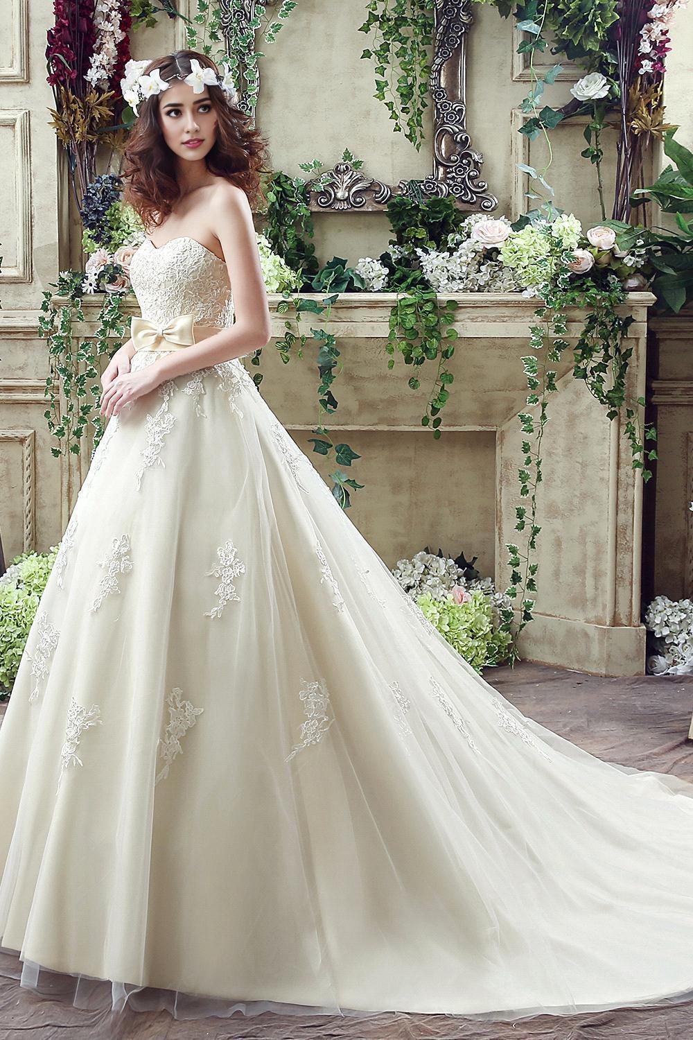 Lace Ball Gown Wedding Dress Tulle Lace-Up Bridal Gown