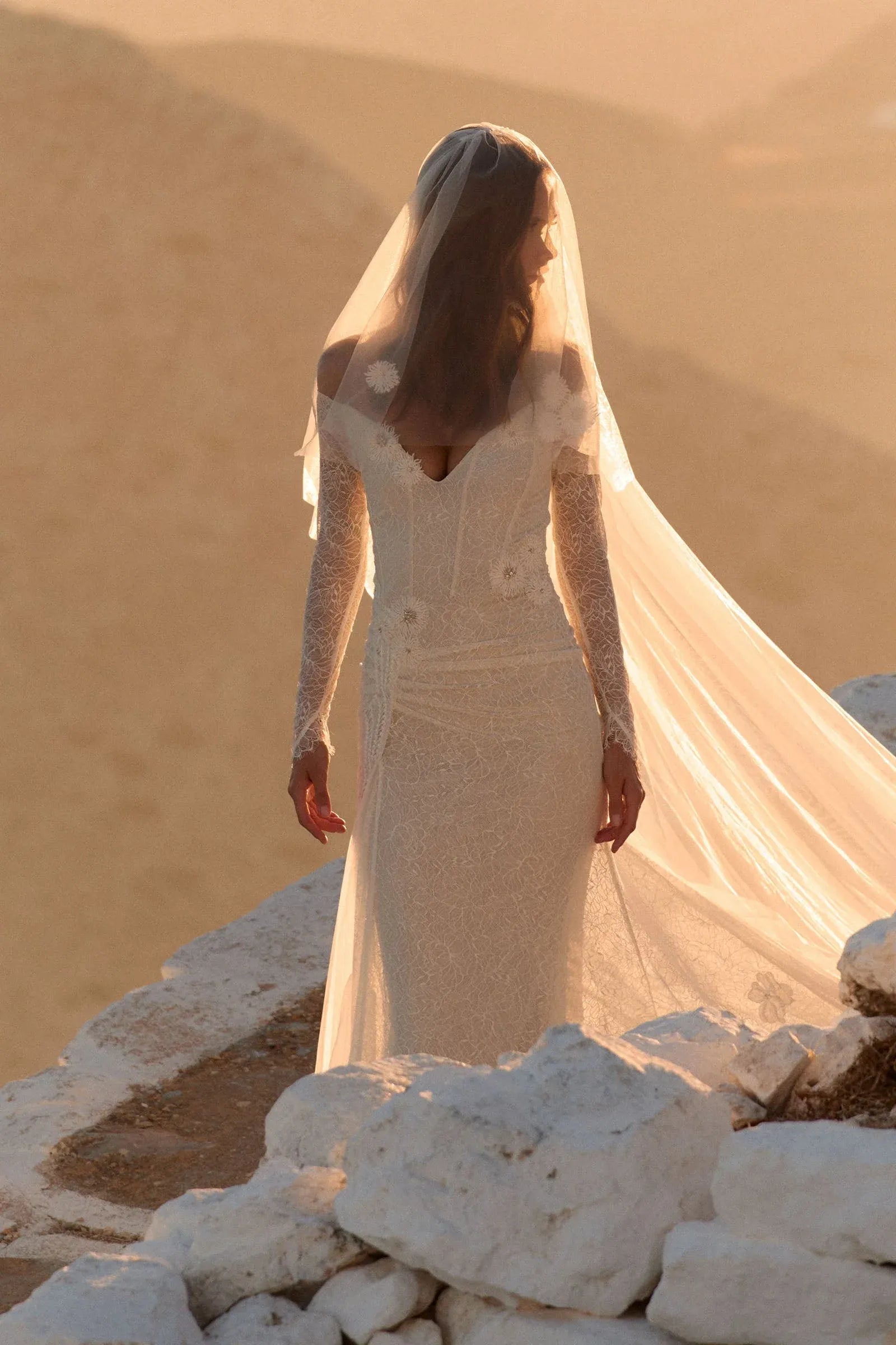 Modern Elegant Off-the-Shoulder Lace Mermaid Wedding Dress with Floral Appliques & Sheer Veil