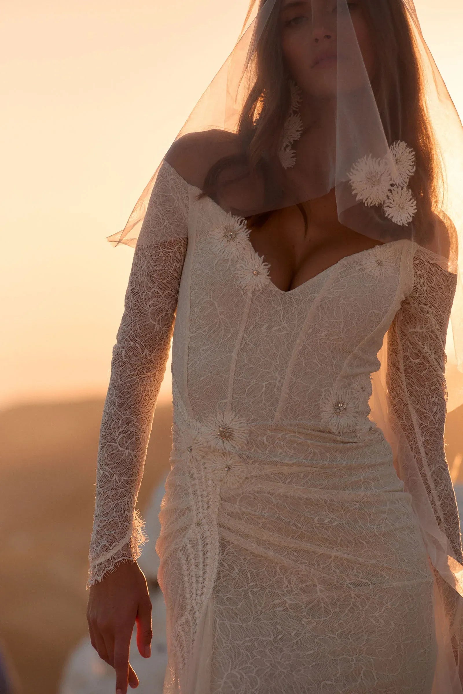 Modern Elegant Off-the-Shoulder Lace Mermaid Wedding Dress with Floral Appliques & Sheer Veil