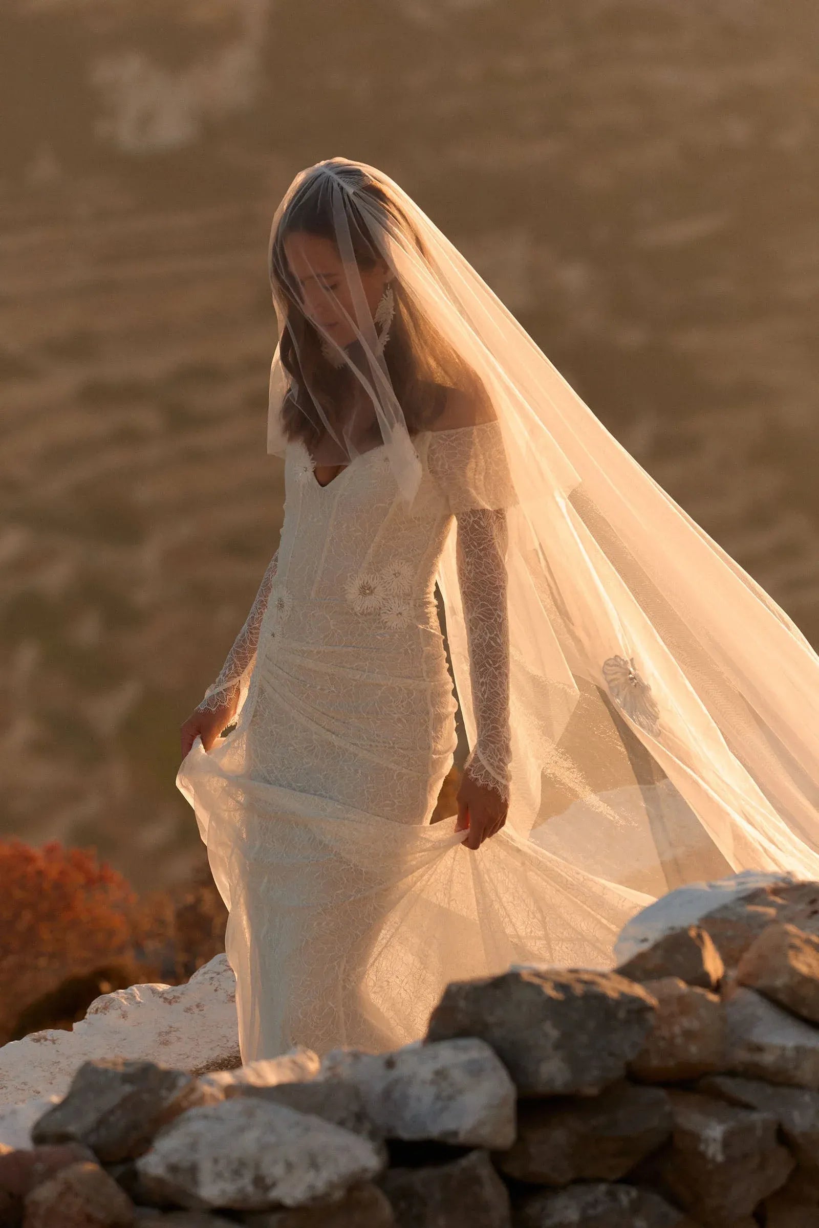 Modern Elegant Off-the-Shoulder Lace Mermaid Wedding Dress with Floral Appliques & Sheer Veil
