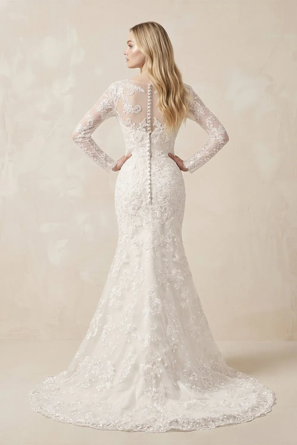 Vintage Romantic  Illusion Neck Long Sleeve Lace Mermaid Wedding Dress with Sheer Back