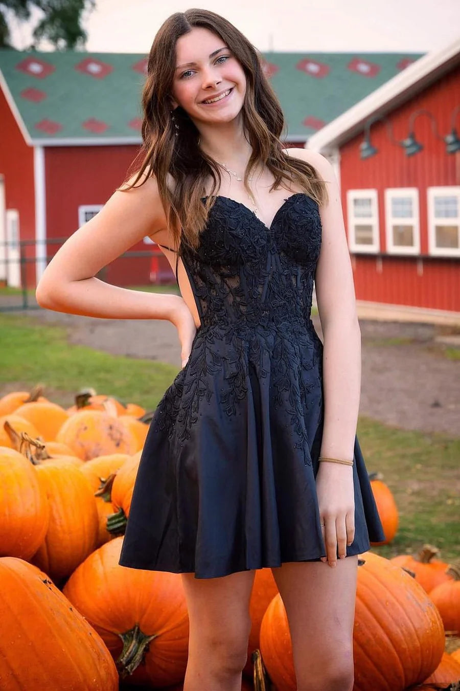 Appliques Sweetheart Lace-Up A-Line Short Party Dress