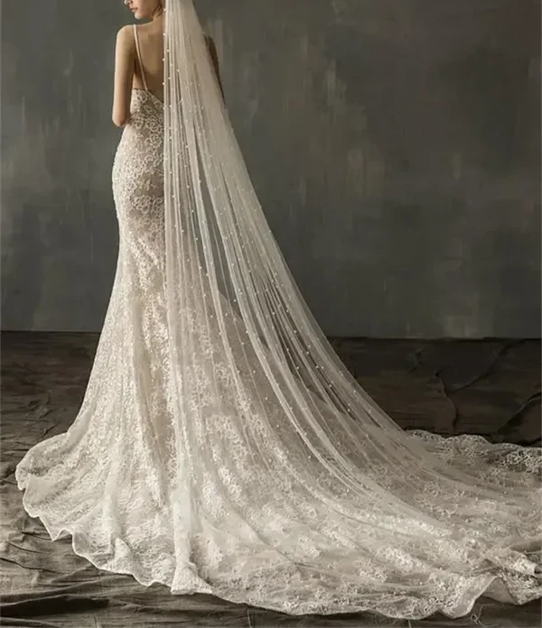 Mermaid Lace Appliqued Wedding Dress with Train