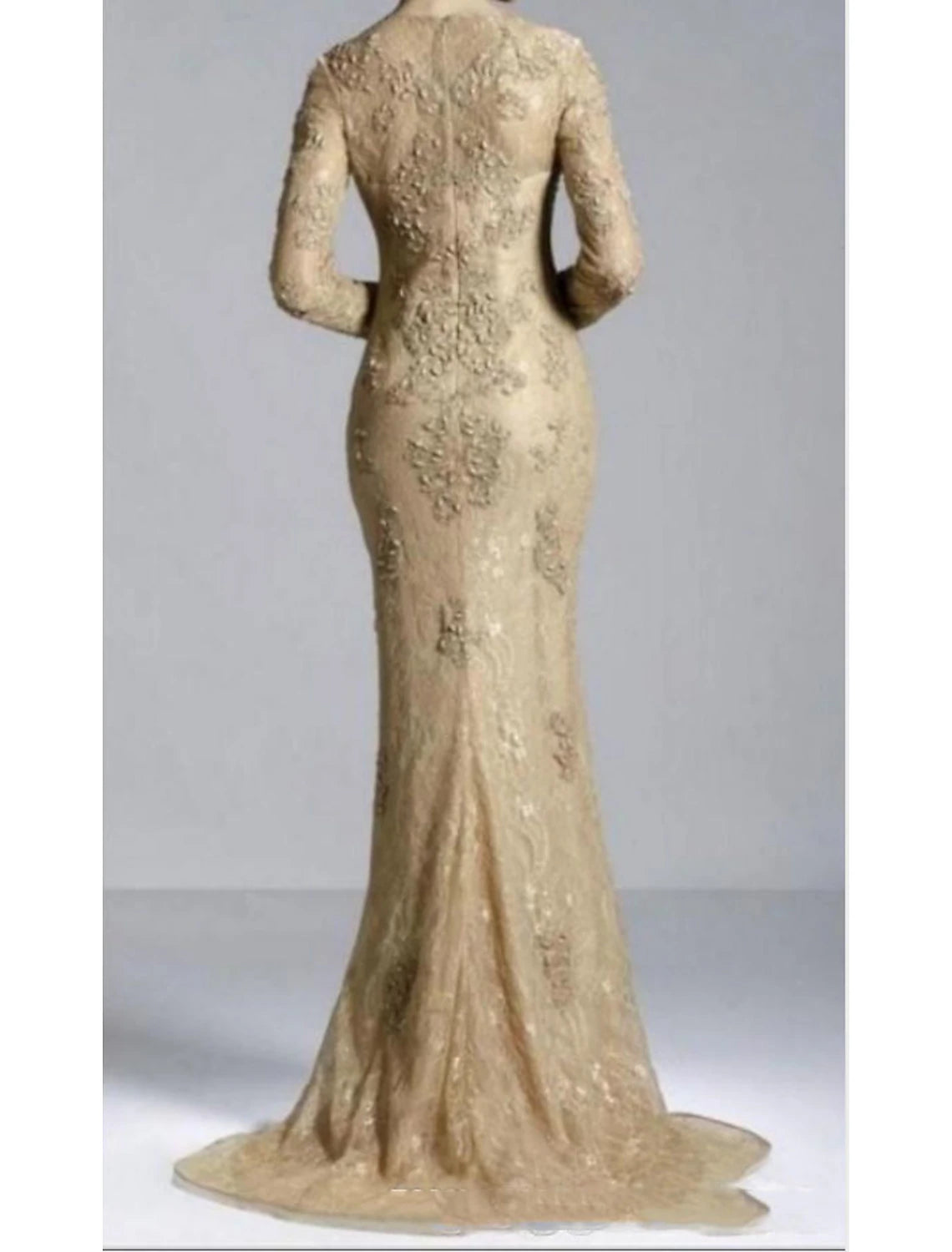 Mermaid Party Dress Evening Gown Luxurious Dress Engagement Formal Evening Sweep / Brush Train Long Sleeve Jewel Neck Fall Wedding Guest Lace with Beading Appliques