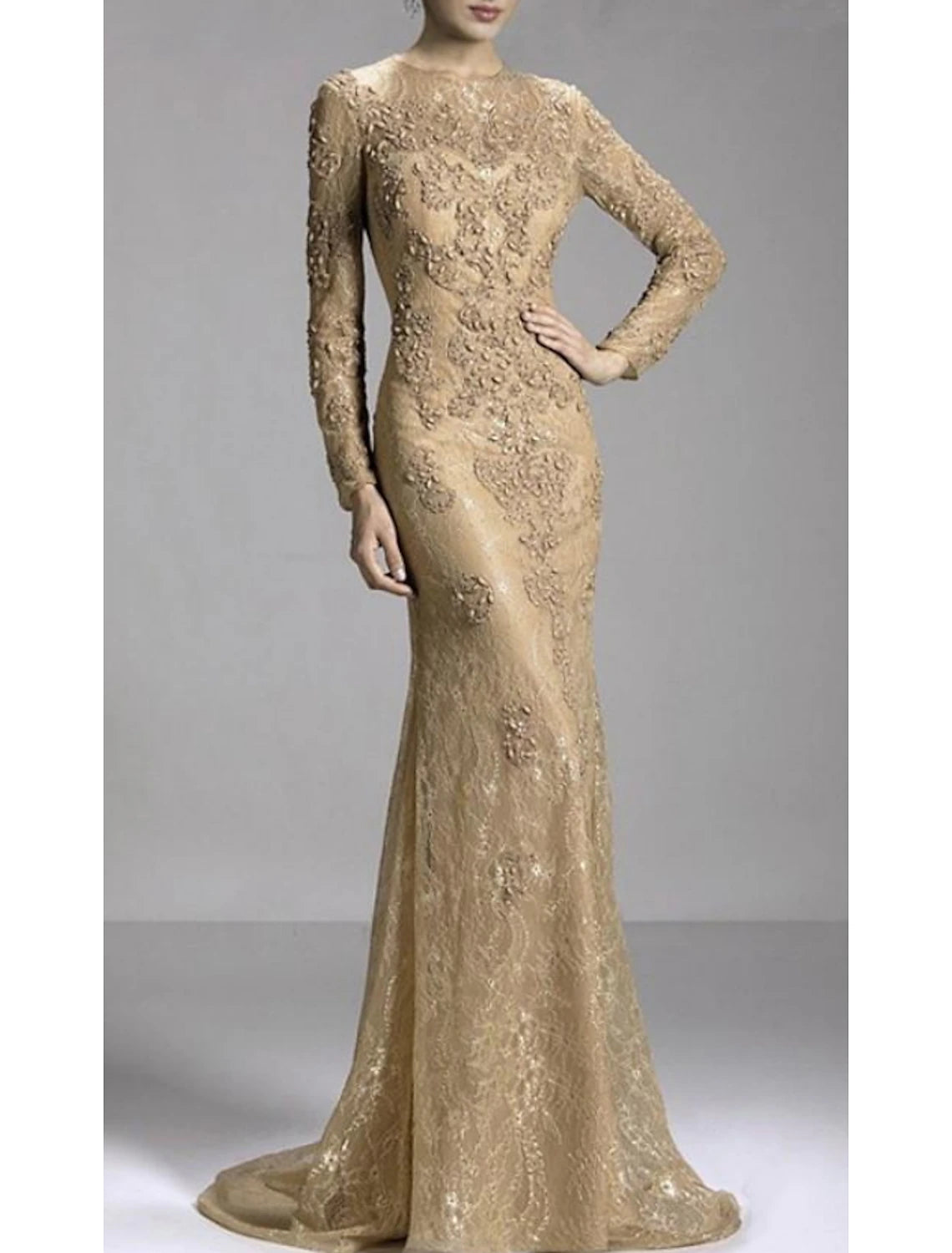 Mermaid Party Dress Evening Gown Luxurious Dress Engagement Formal Evening Sweep / Brush Train Long Sleeve Jewel Neck Fall Wedding Guest Lace with Beading Appliques