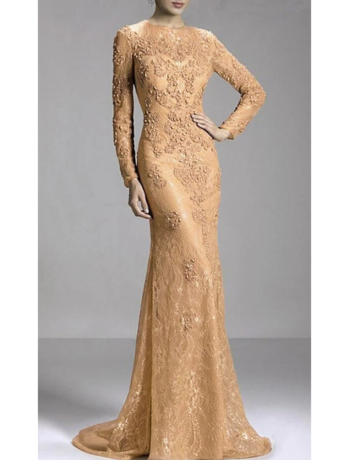 Mermaid Party Dress Evening Gown Luxurious Dress Engagement Formal Evening Sweep / Brush Train Long Sleeve Jewel Neck Fall Wedding Guest Lace with Beading Appliques